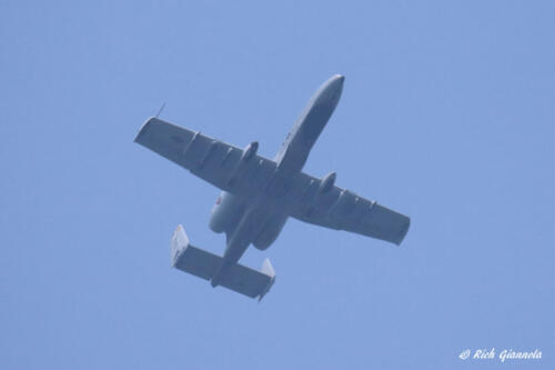 An A-10 Warthog