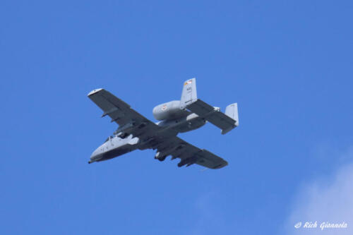 A-10 Warthog