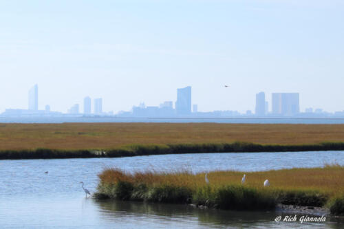 Atlantic City Skyline