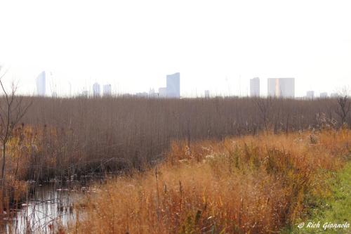 Atlantic City Skyline