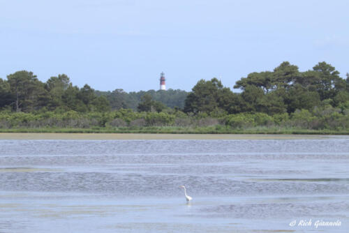 Assateague Island Lighthouse