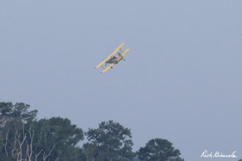 Biplane performing cropdusting