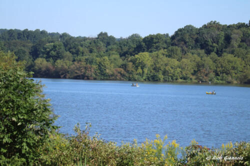 Chambers Lake, Hibernia County Park