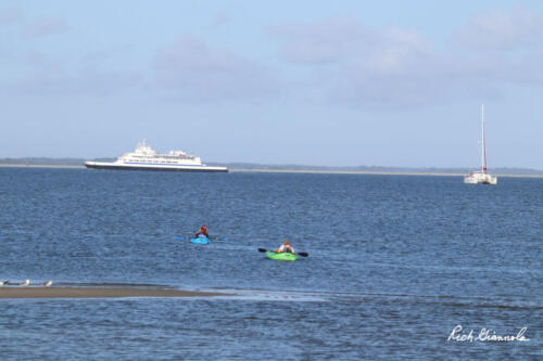 Cape May-Lewes Ferry entering Lewes terminal