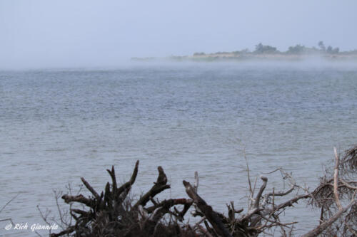 Fog over Sinepuxent Bay 