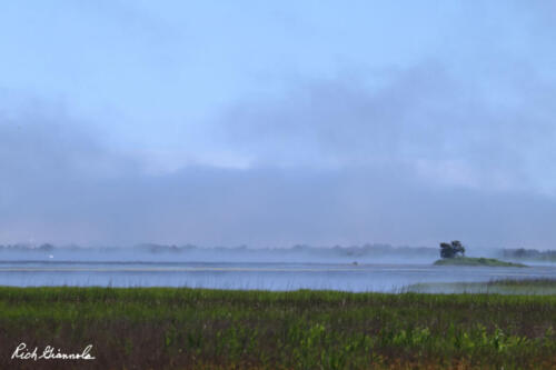 Morning fog skirting the marsh at Prime Hook NWR