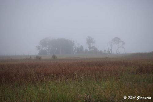 Fog from Boardwalk