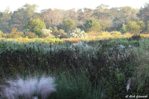 Delaware Botanic Gardens