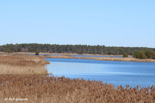 Gordon's Pond