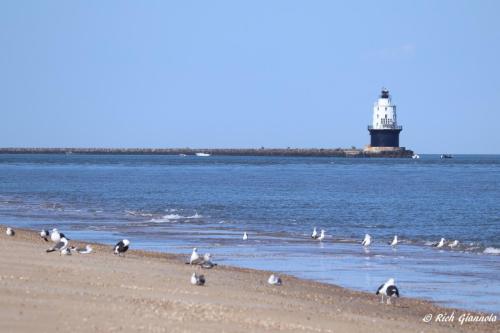 Harbor of Refuge Lighthouse