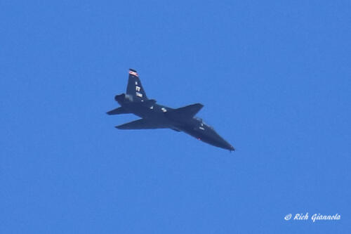 A jet fighter heading over the bay