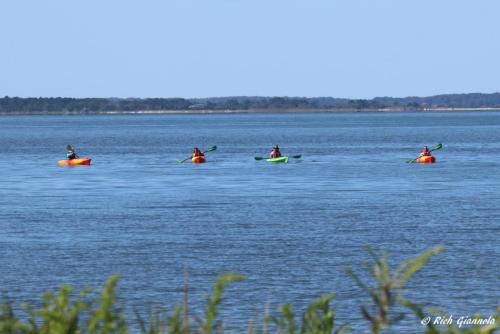 Kayakers in Little Toms Cove