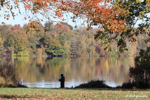 Marsh Creek Fisherman