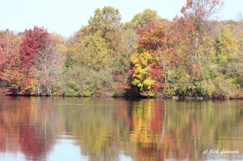 Marsh Creek Reflections