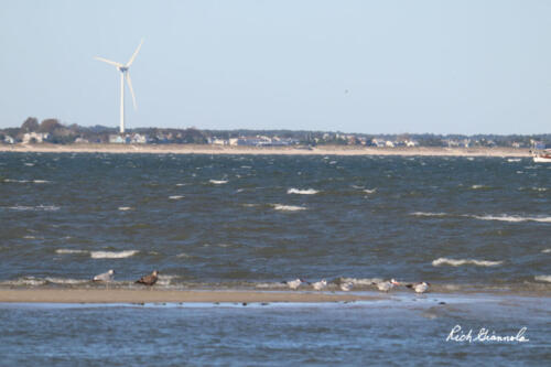 Lewes and Delaware Bay on a windy day