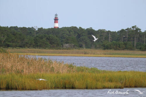 Chincoteague Island Lighthouse