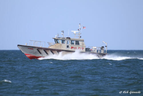 Pilot Boat