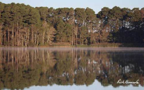 Pond reflections in Trap Pond State Park